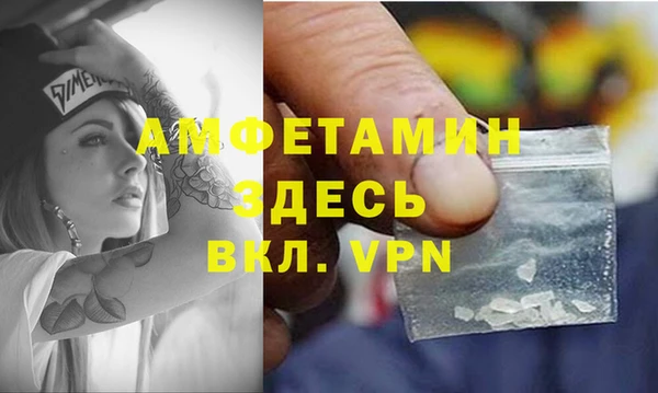 дмт Алзамай