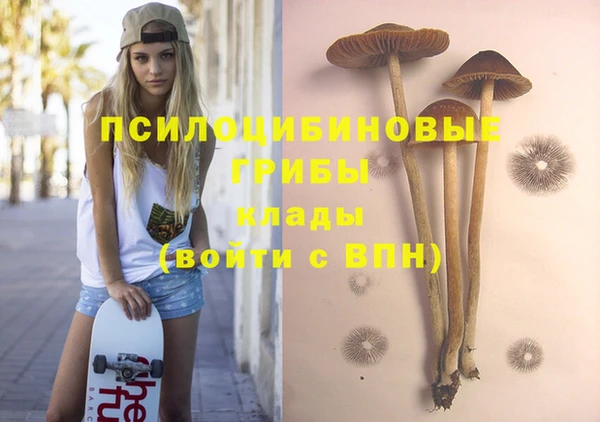 дурь Алексеевка