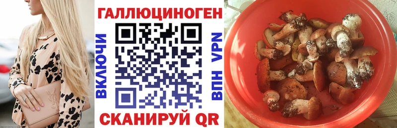 нарко площадка клад  Лагань  Галлюциногенные грибы Psilocybe 
